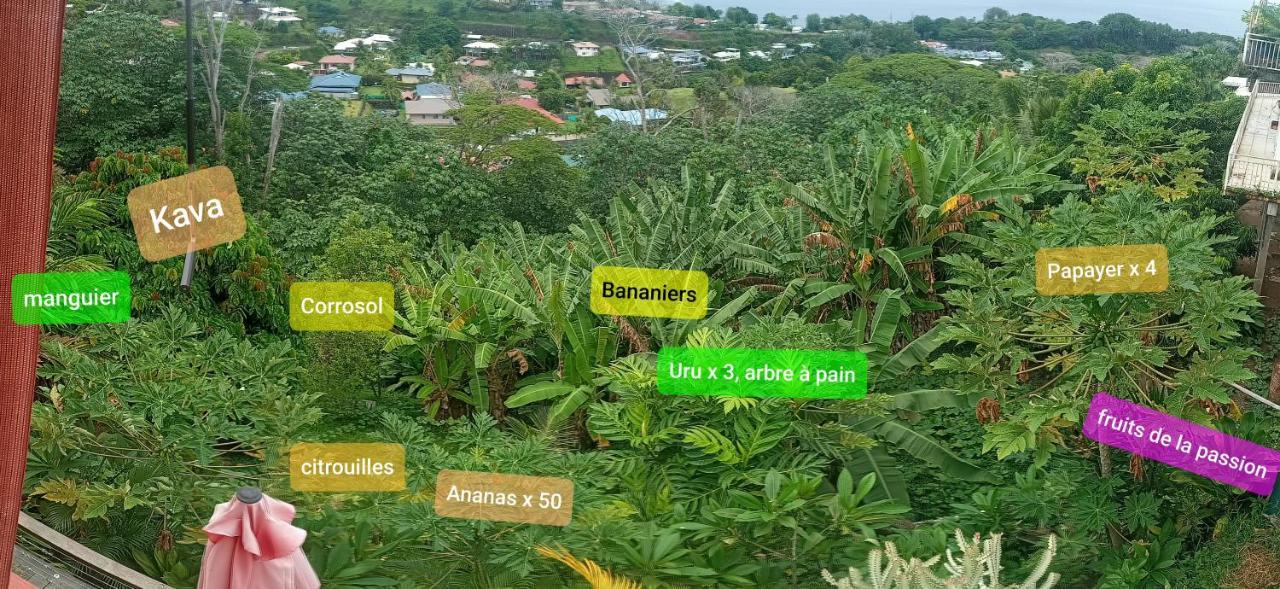 Manava Tahara'A Home Stay Mahina Exteriér fotografie